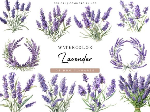 Download Watercolor Lavender Clipart Bundle - Lavender clipart Collection