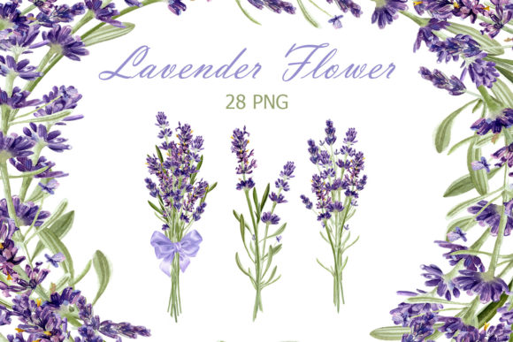 Download Watercolor Lavender Clipart - Lavender clipart Collection
