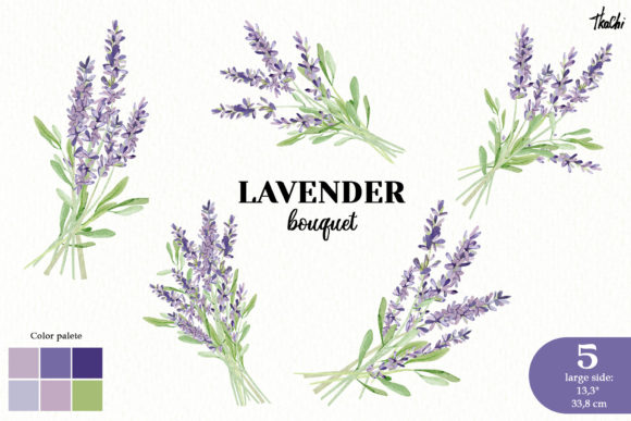Download Watercolor Lavender Clipart Violet Png - Lavender clipart Collection