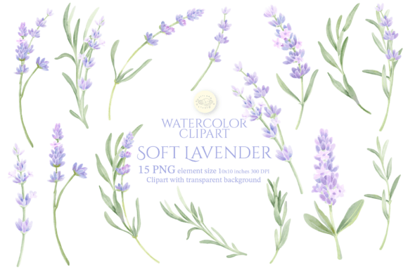 Download Watercolor Soft Lavender Clipart Set - Lavender clipart Collection